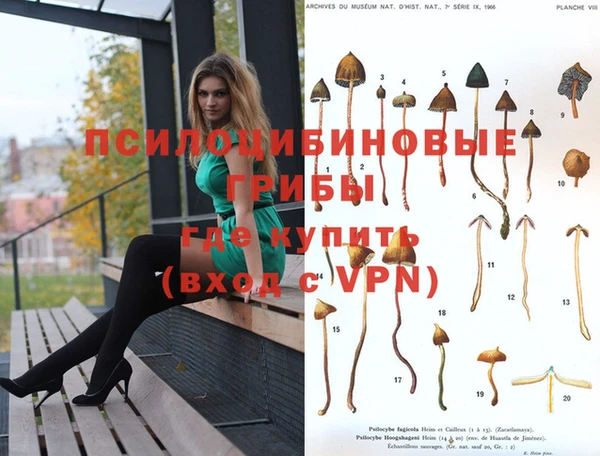 эйфоретик Армянск