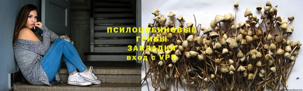 эйфоретик Армянск
