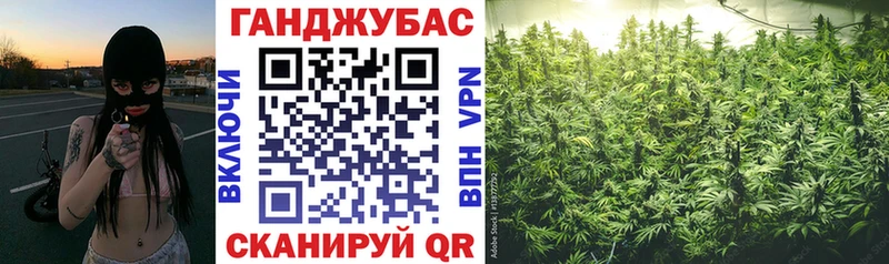 Канабис MAZAR  Тайга 